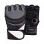 MMA Gloves_TS-953_114_2